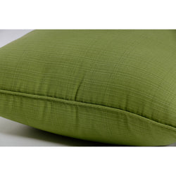 Outdoor/Indoor Forsyth Kiwi 18.5-inch Throw Pillow (Set of 2)