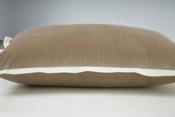 Indoor Velvet Flange Natural Rectangular Throw Pillow