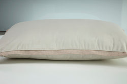 Indoor Velvet Flange Ivory Rectangular Throw Pillow