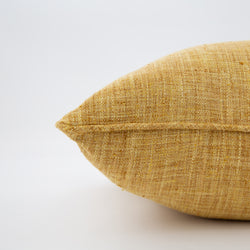 Speedy Sunshine 16.5-inch Throw Pillow